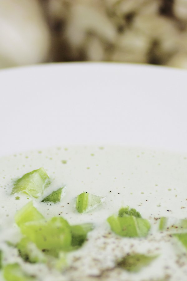 Raw cream of celery soup recipe The Rawtarian