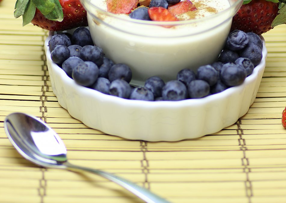 Raw yogurt recipe The Rawtarian