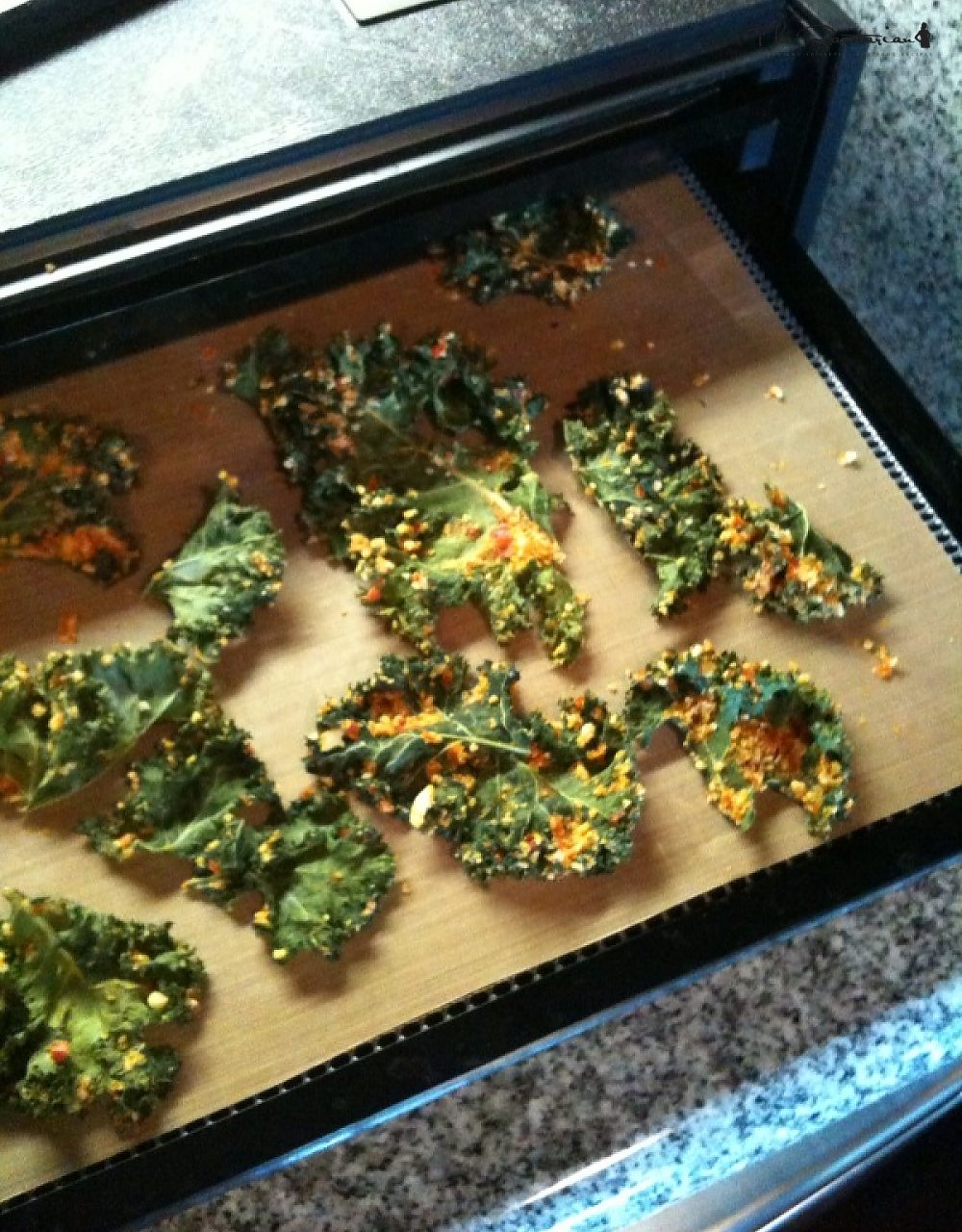 The Best Cheesy Kale Chips | The Rawtarian