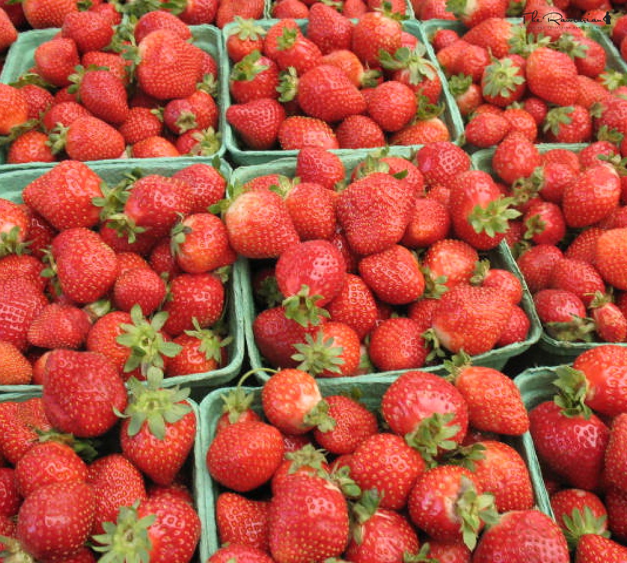 Blueberry Buzz Smoothie | The Rawtarian