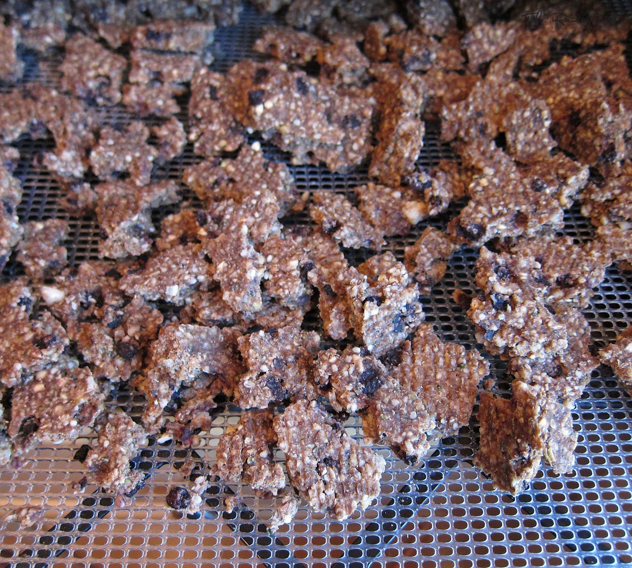 Blueberry Granola | The Rawtarian