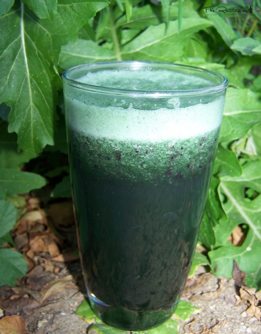 Blueberry Spirulina Drink The Rawtarian