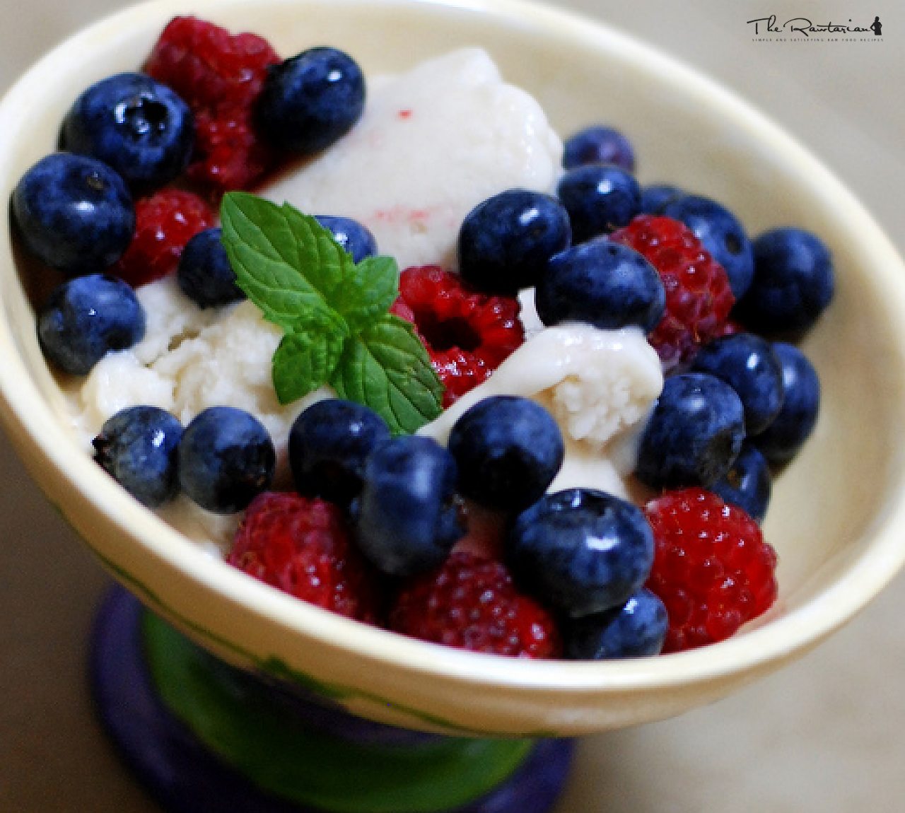 Coconut Ice Cream | The Rawtarian