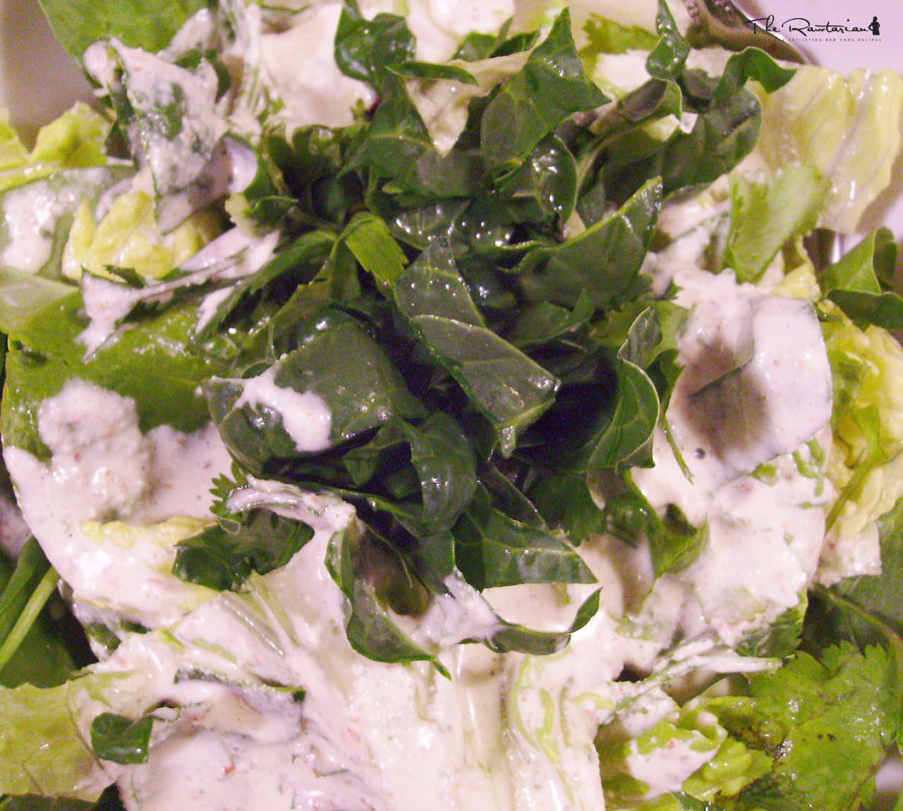 Creamy Garlic Sauce Dressing | The Rawtarian