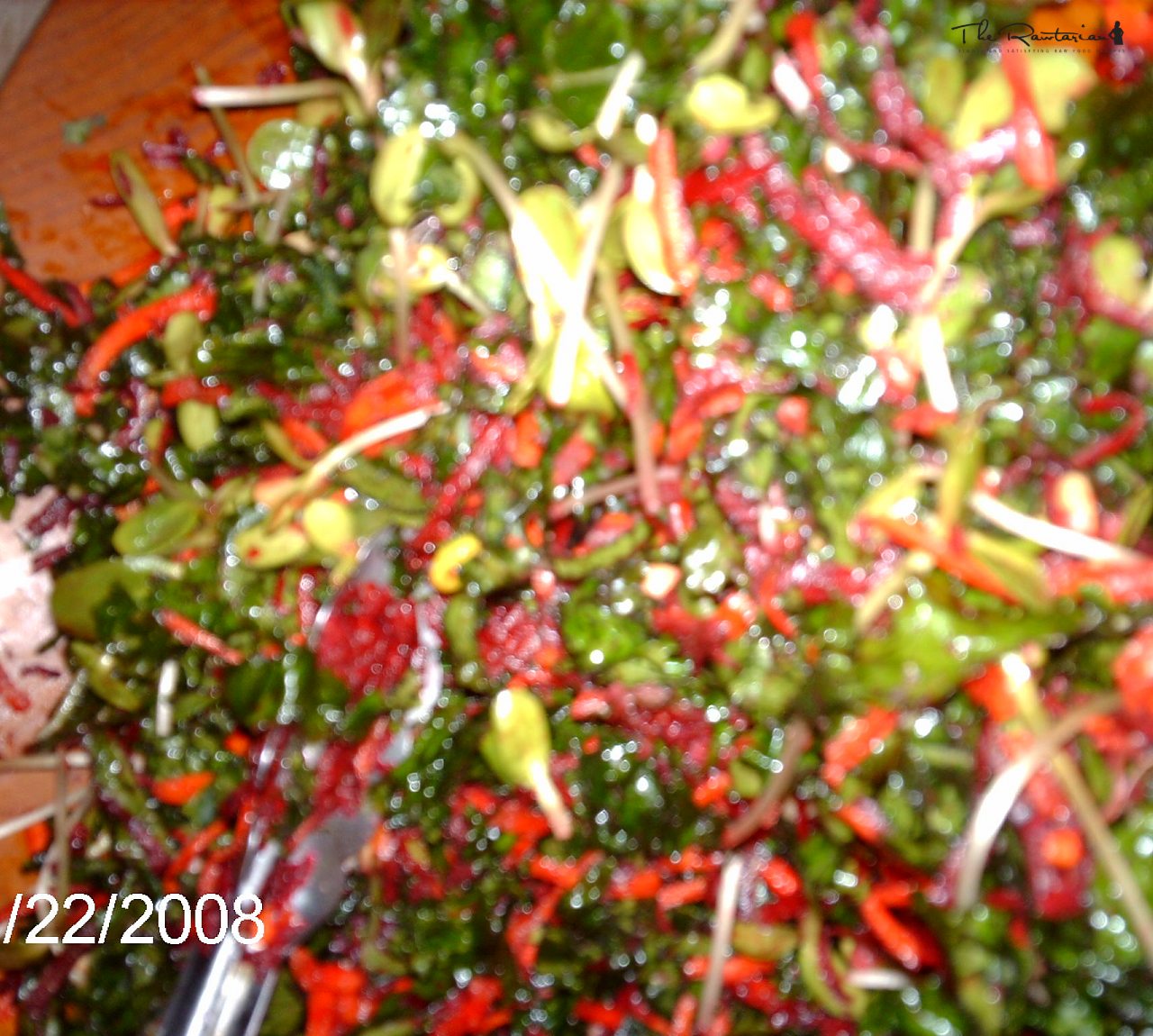 Down to the Roots with Kale by my side | The Rawtarian
