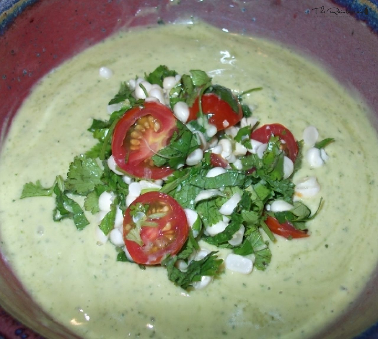 Everfresh Organic Avocado Soup | The Rawtarian