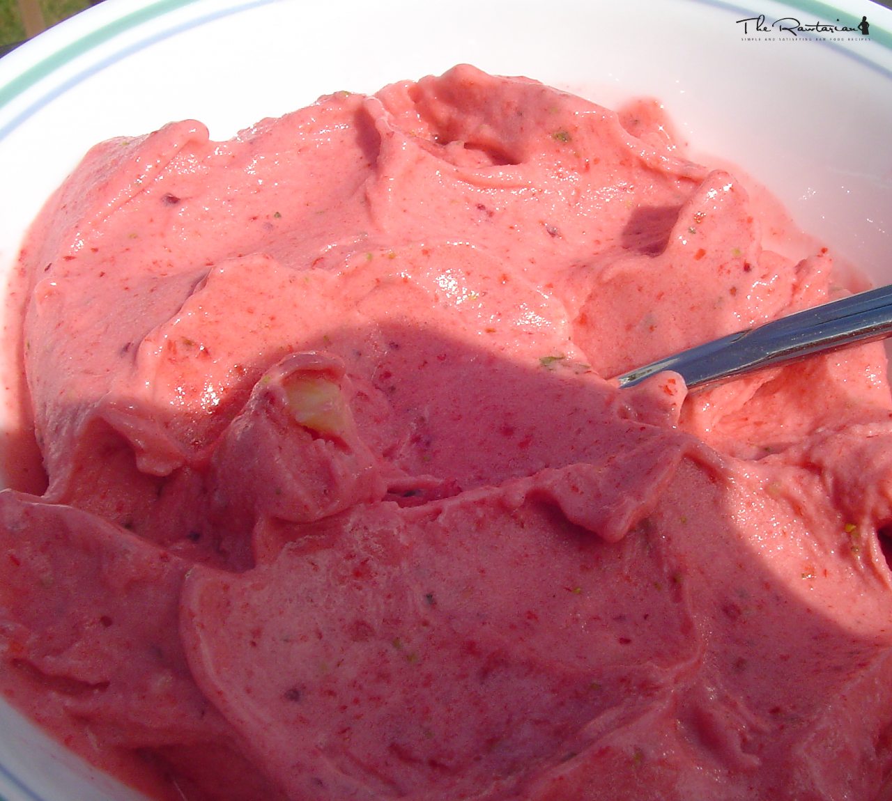 Frozen Yogurt | The Rawtarian