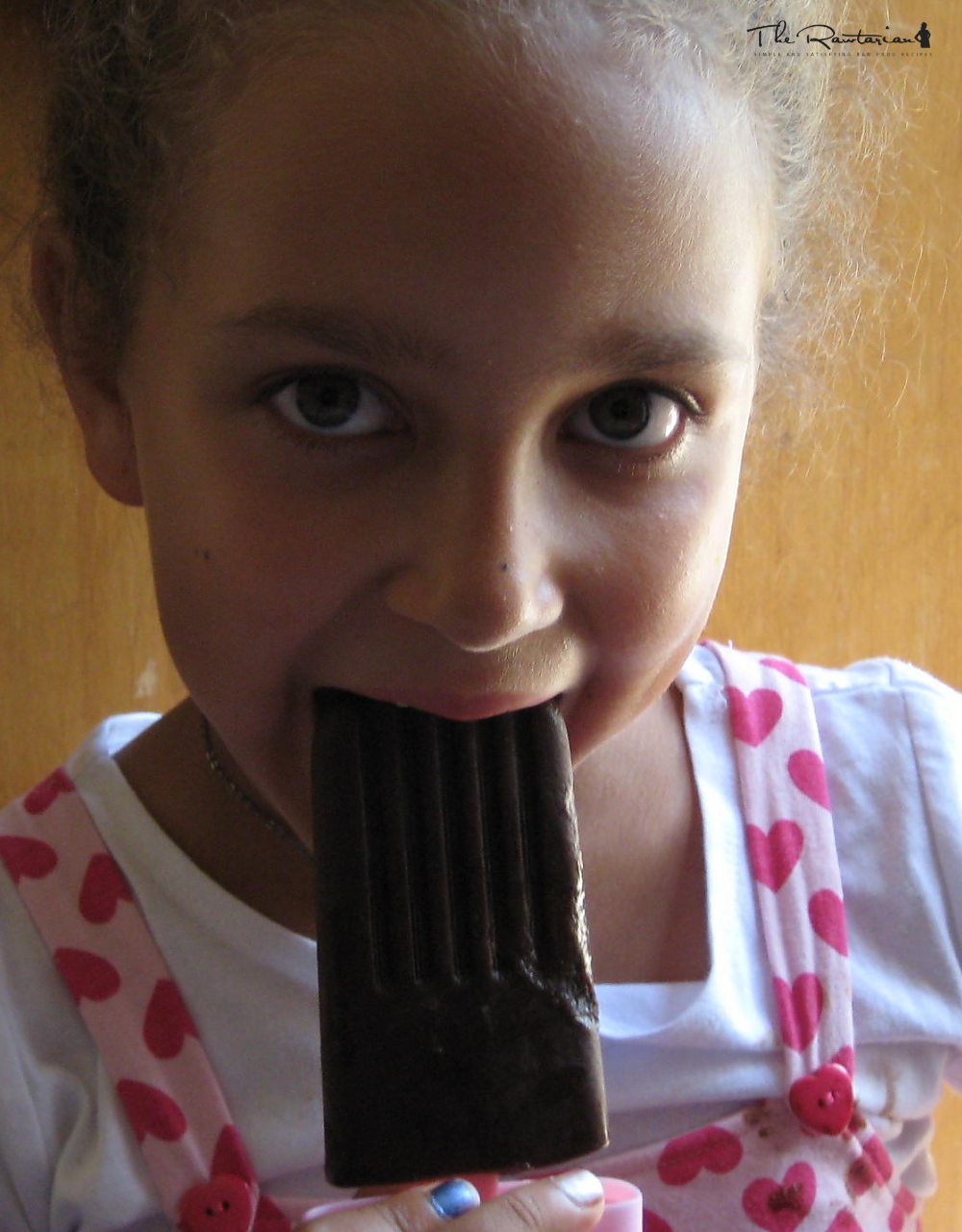 Fudgesicles | The Rawtarian