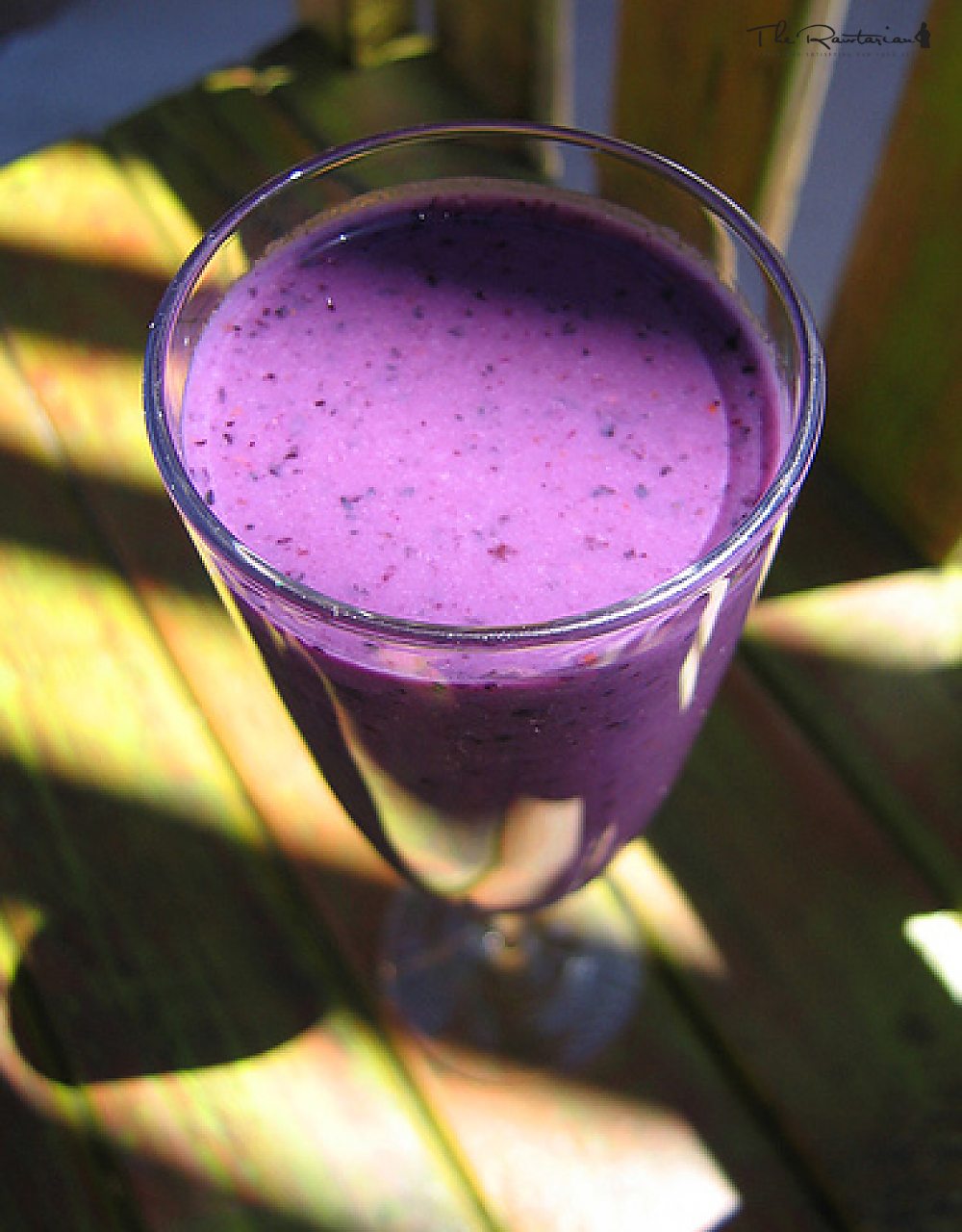 Ginger Berry Zing The Rawtarian