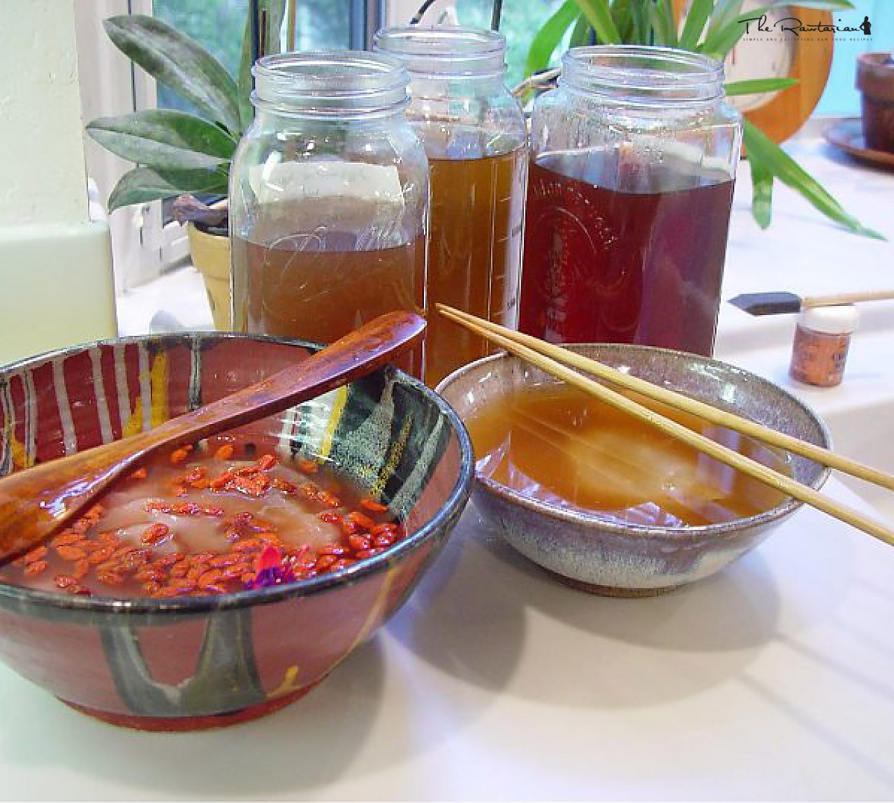 Goji Berry Kombucha | The Rawtarian
