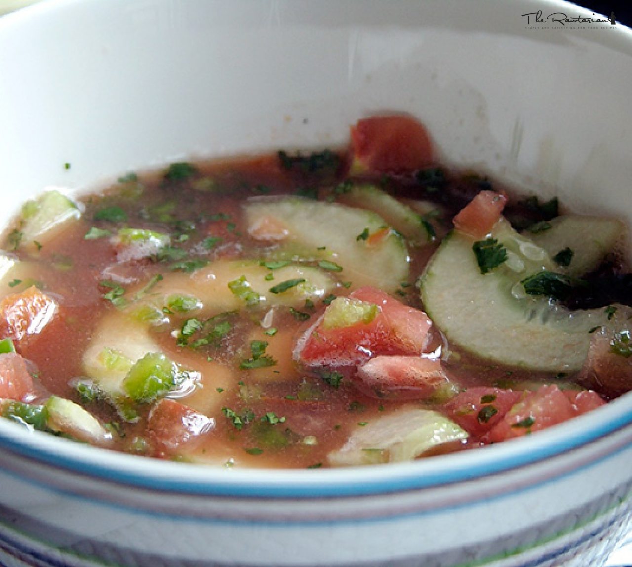 Light Gazpacho | The Rawtarian