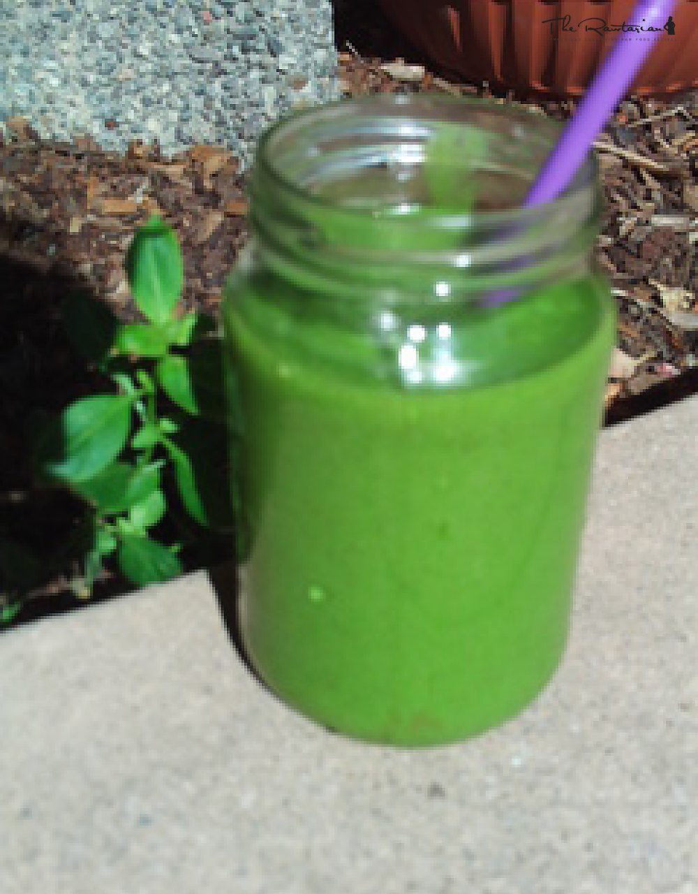 Maca Machine--A Smoothie in Green | The Rawtarian