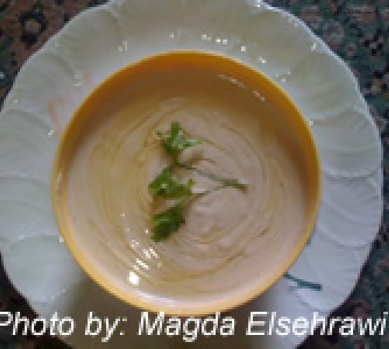 Middle Eastern Raw Sesame Seed Tahini Dip The Rawtarian