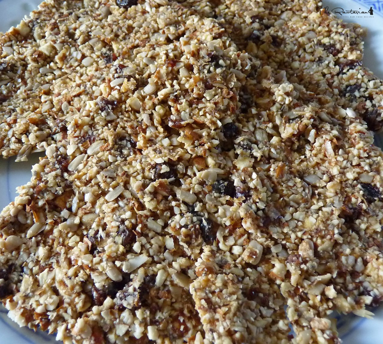 Nut Bars | The Rawtarian