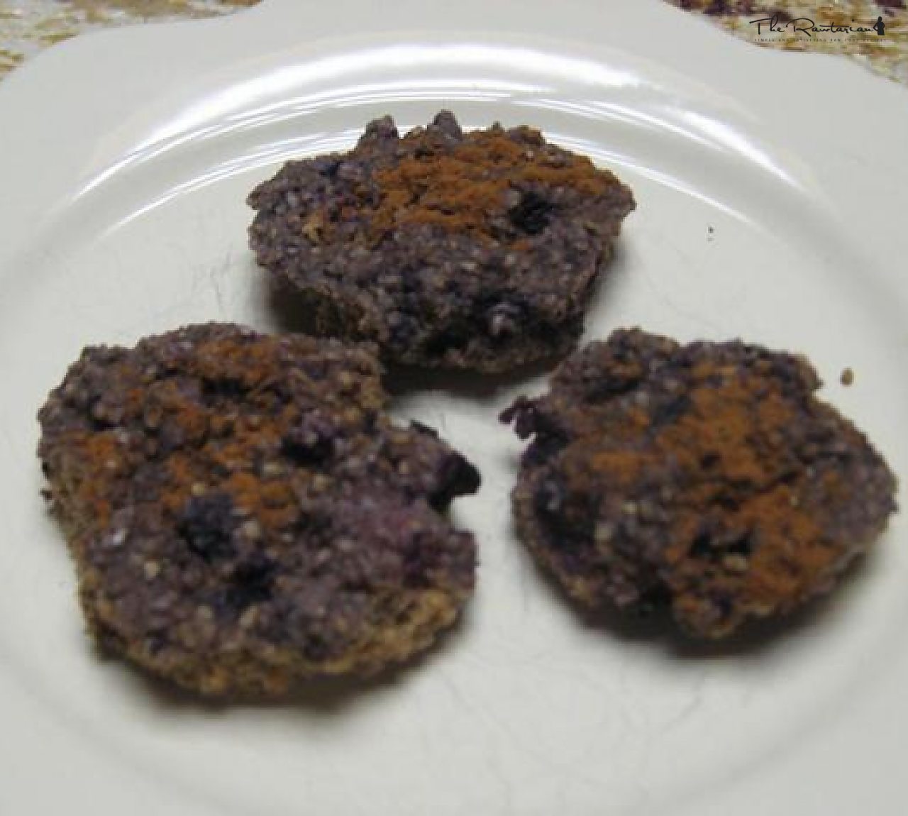 Old Fashioned Blueberry Muffins | The Rawtarian