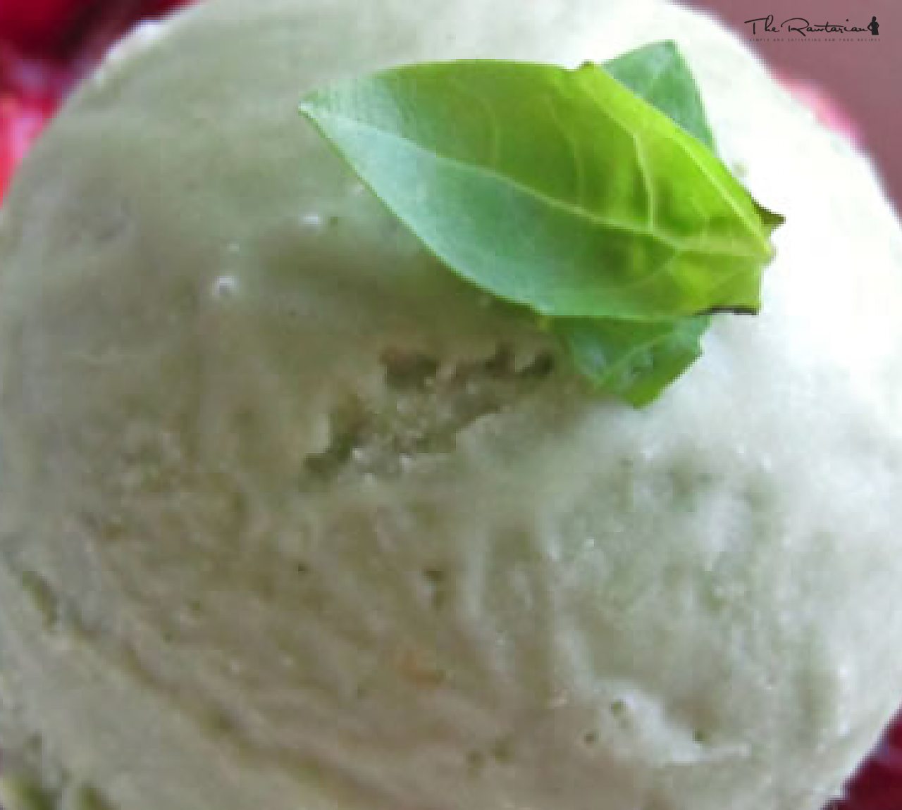 Raw Mint and Basil Ice Cream The Rawtarian