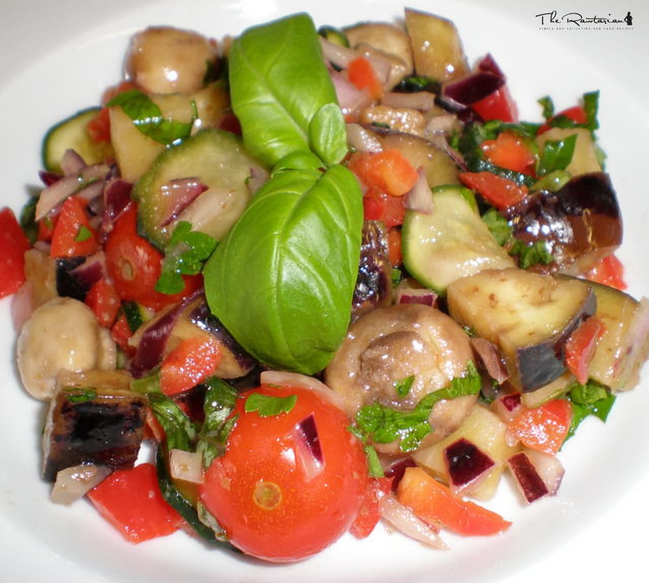 RawforLife Ratatouille | The Rawtarian