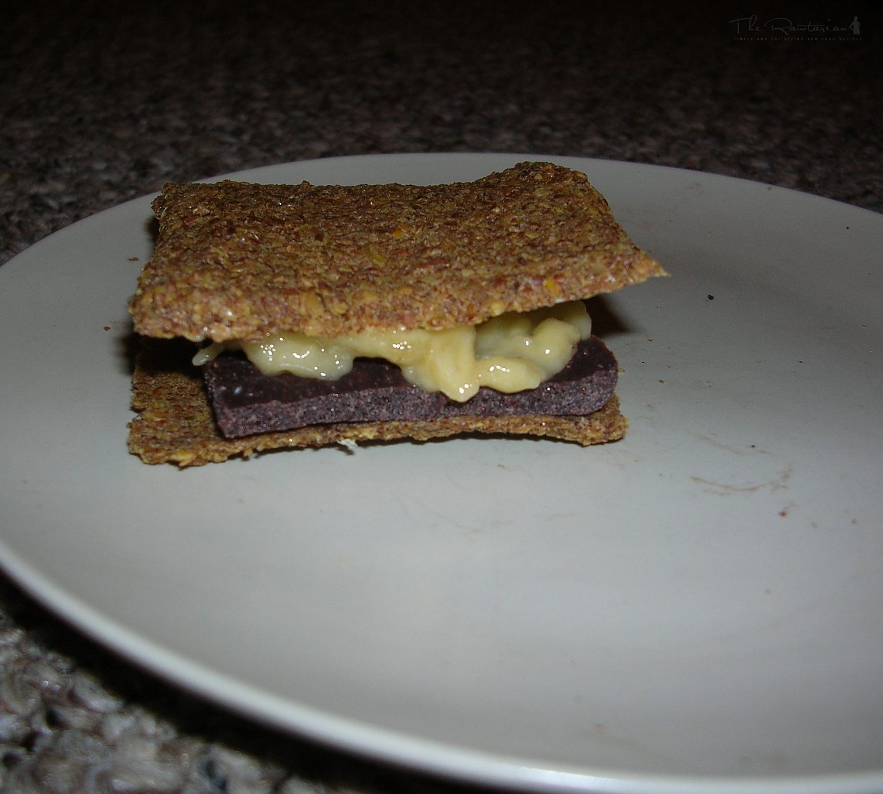 S'mores | The Rawtarian