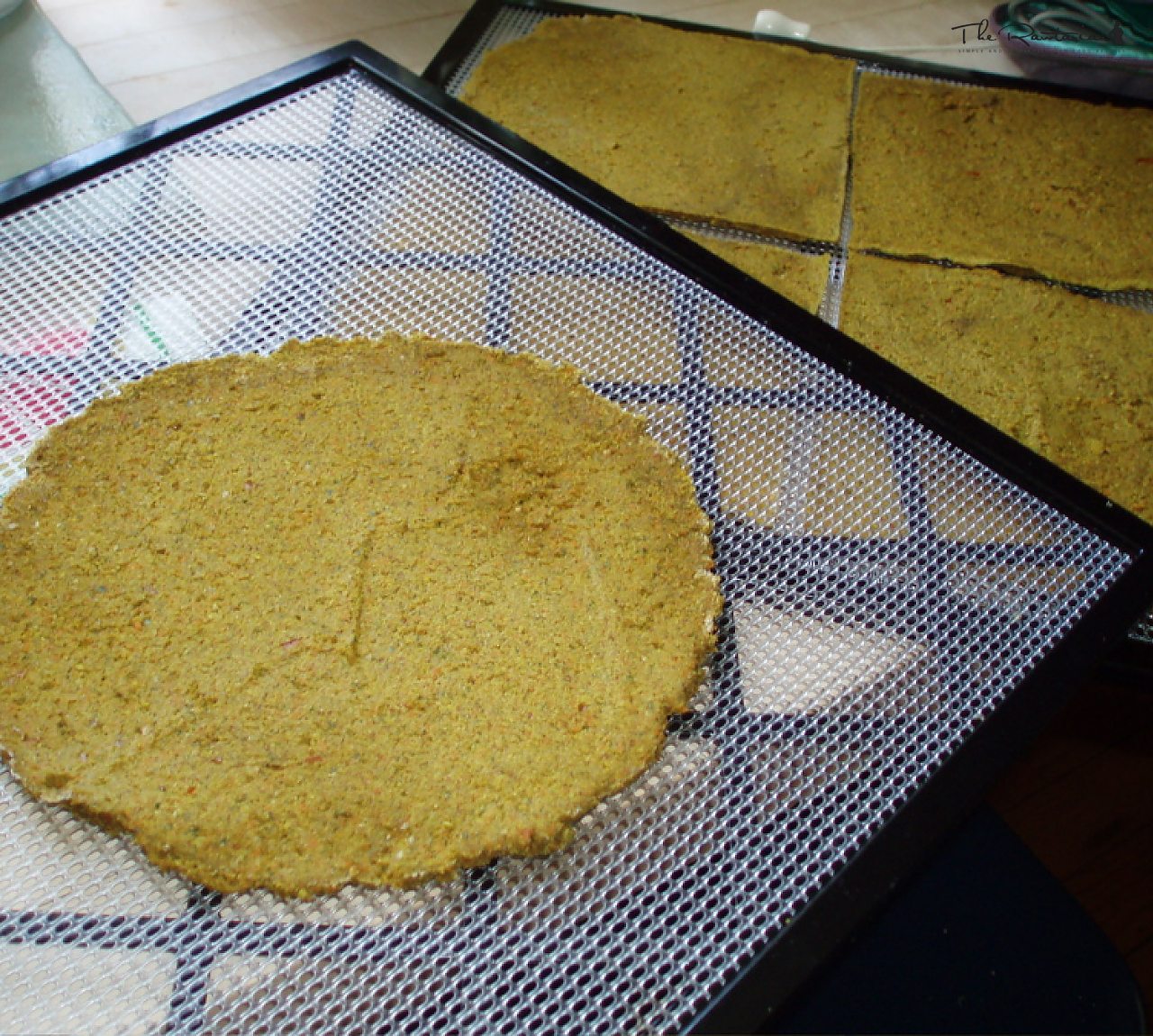 Spicy Indian Flatbread | The Rawtarian