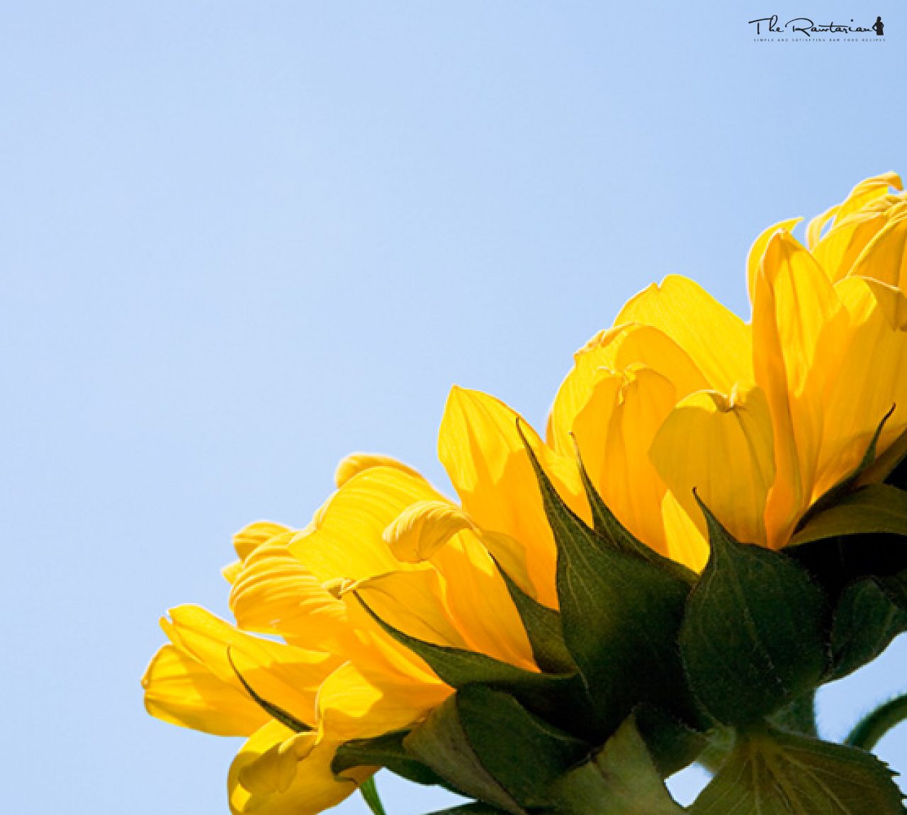 Sweet Potatoes | The Rawtarian