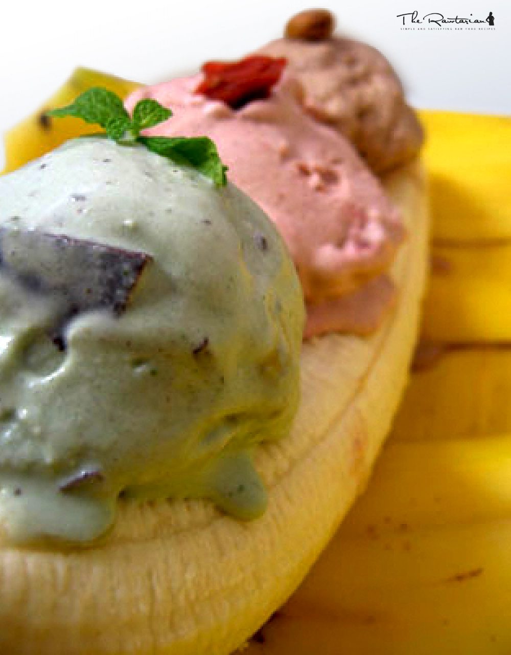 Trio of Raw Ice Cream | The Rawtarian