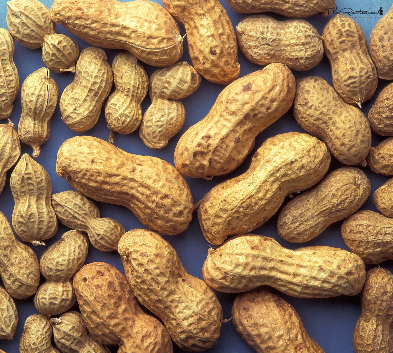 Raw peanuts Should you or shouldn't you? The Rawtarian