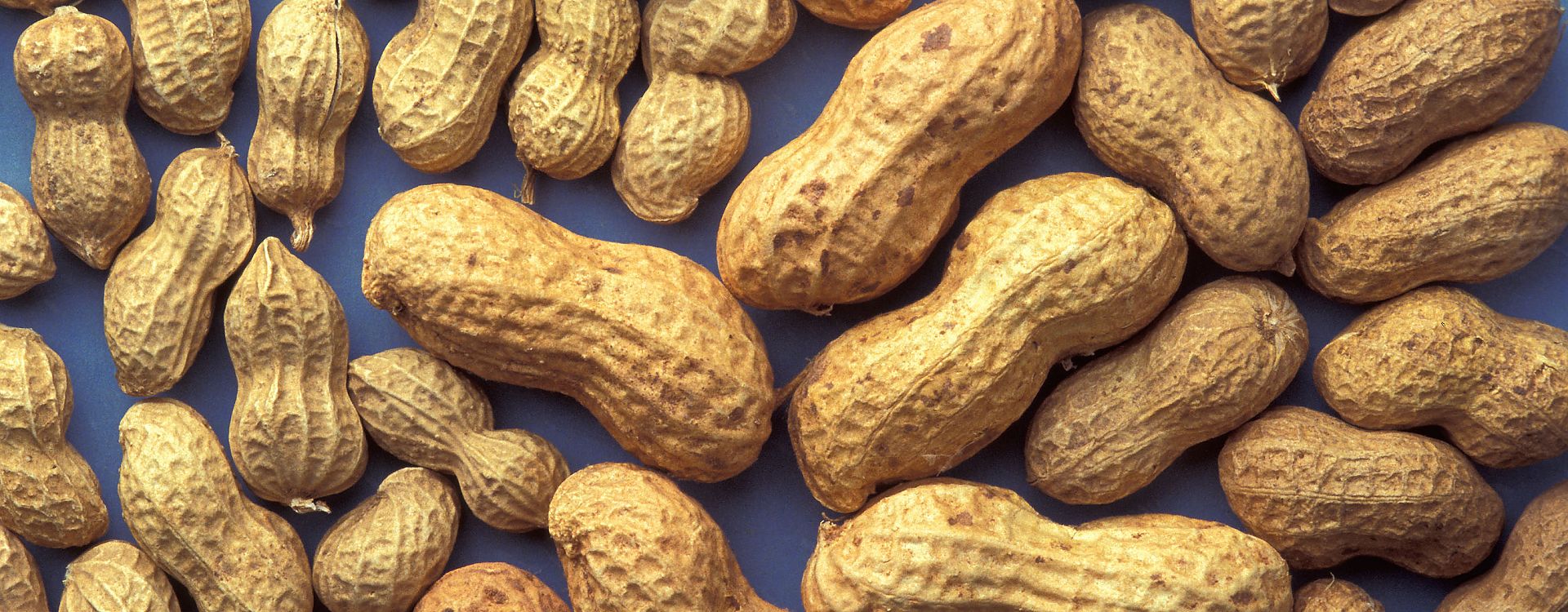 Raw peanuts Should you or shouldn't you? The Rawtarian