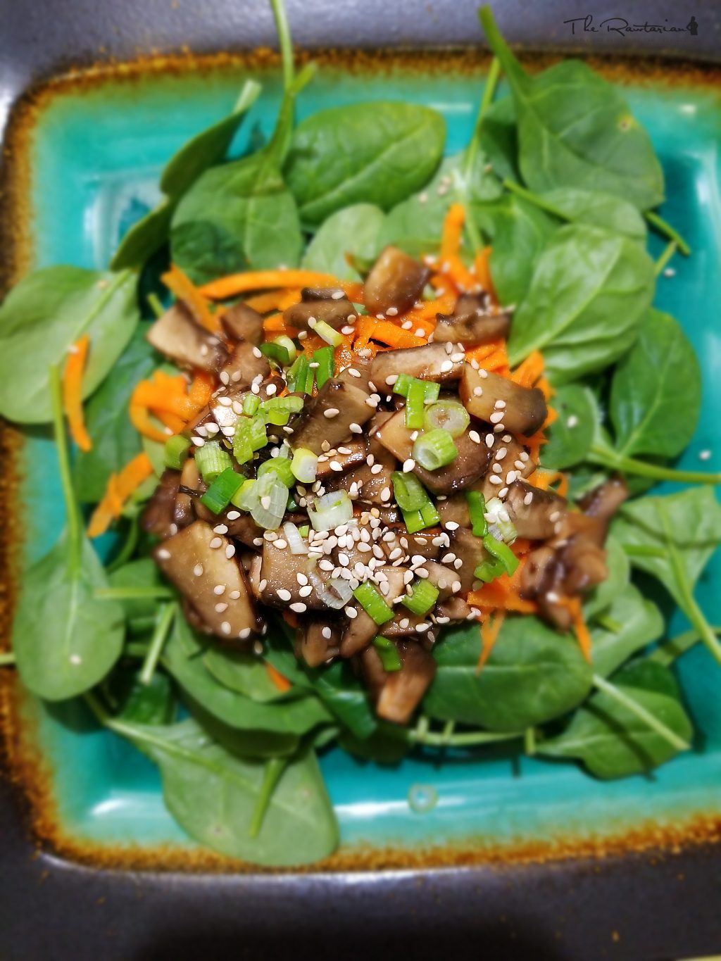But, marinate raw onions or mushrooms, and dehydrate them? Best Marinated Raw Mushroom . Raw marinated mushroom recipe | The Rawtarian