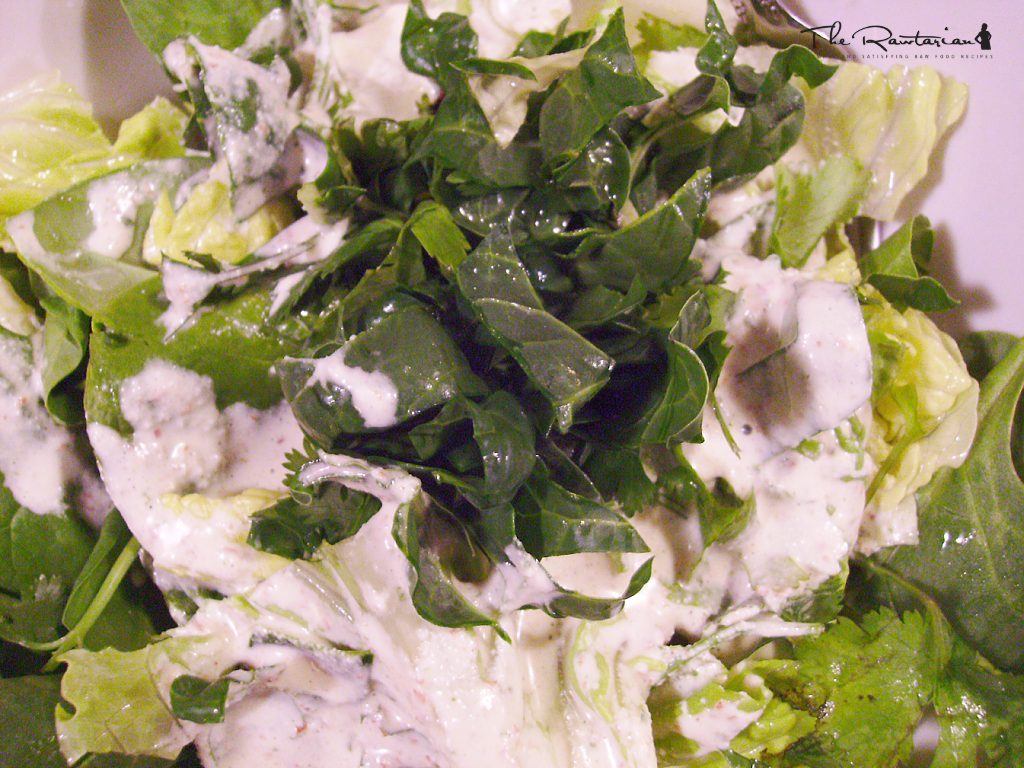 Creamy Garlic Sauce Dressing The Rawtarian