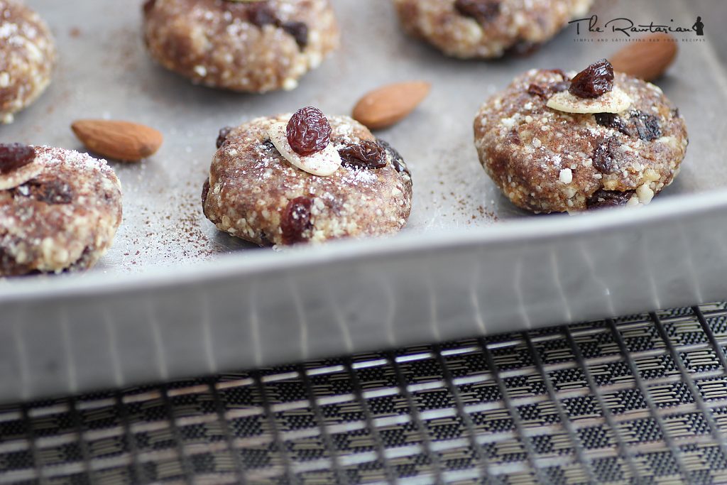 Oatmeal Raisin Dehydrator Cookies