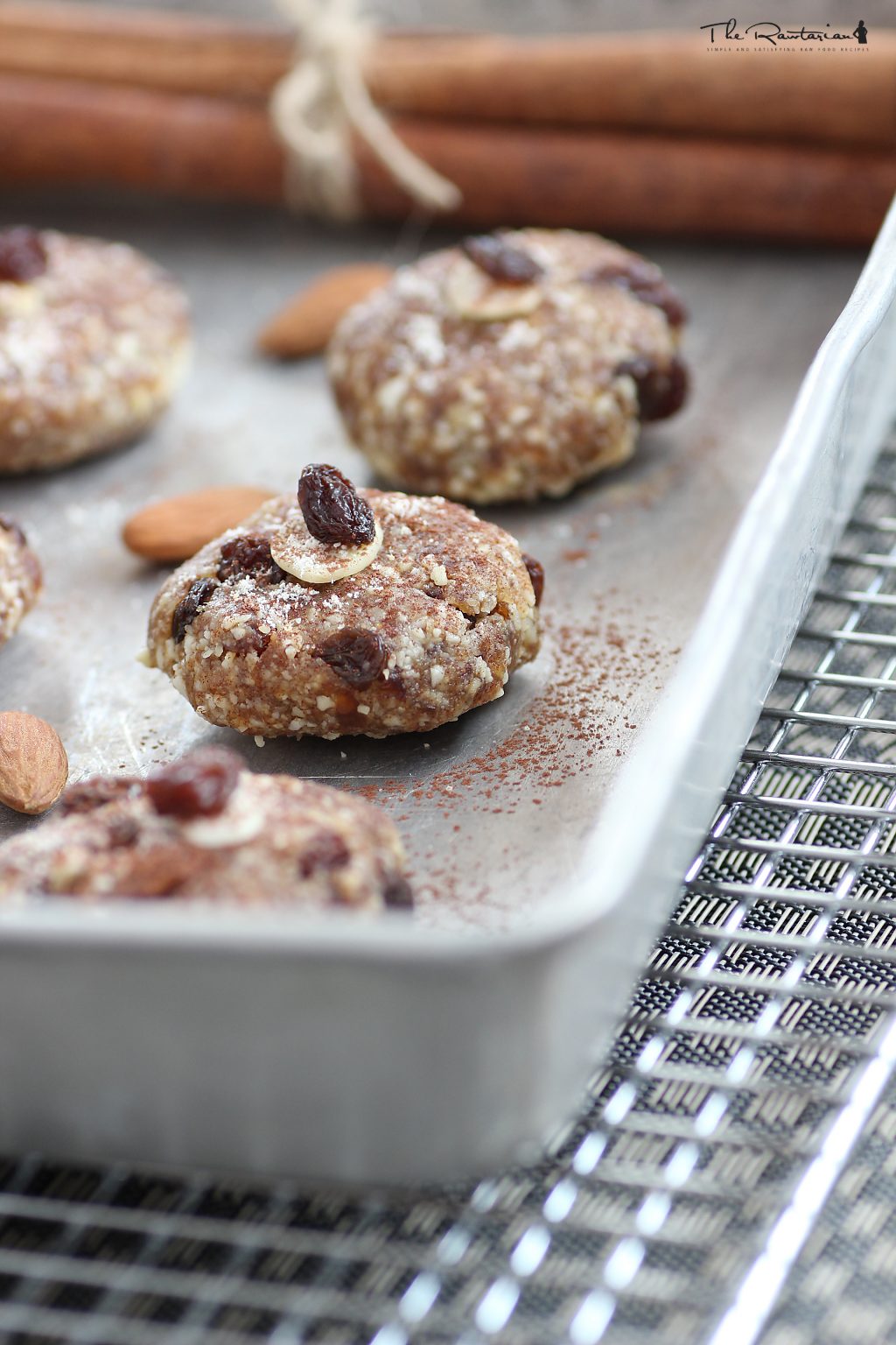 Oatmeal Raisin Dehydrator Cookies