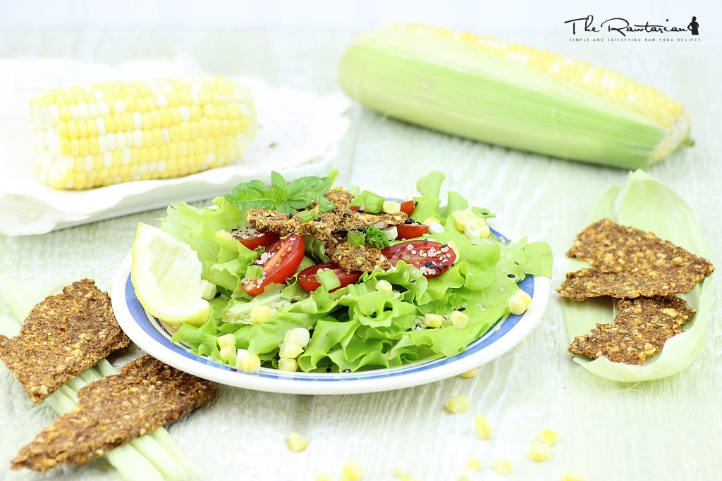 5 Awesome Raw Chip Recipes The Rawtarian