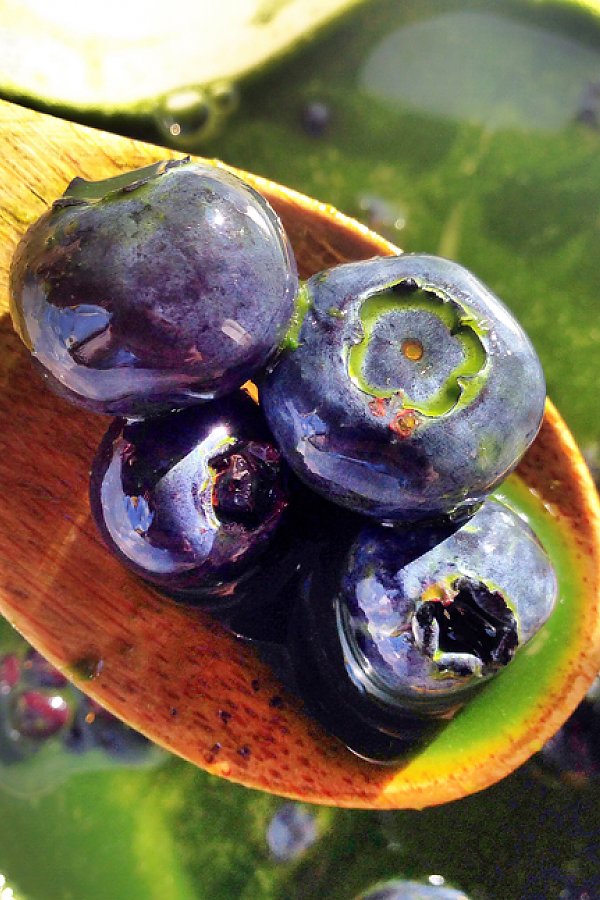 MINERALRICH ALKALINE JUICE The Rawtarian