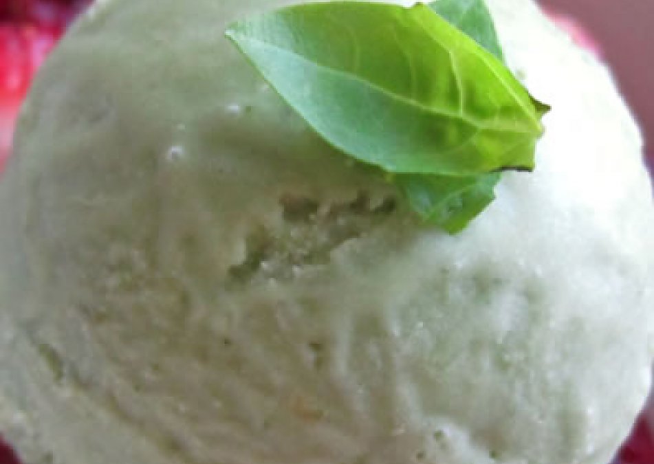 Raw Mint and Basil Ice Cream The Rawtarian