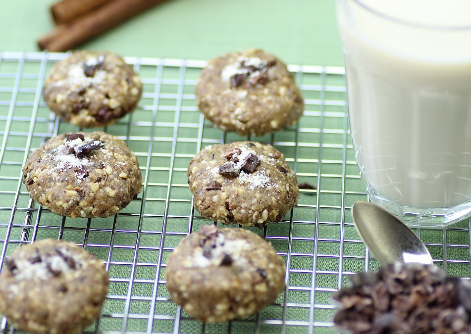 Raw peanut butter chocolate chip cookie recipe The Rawtarian