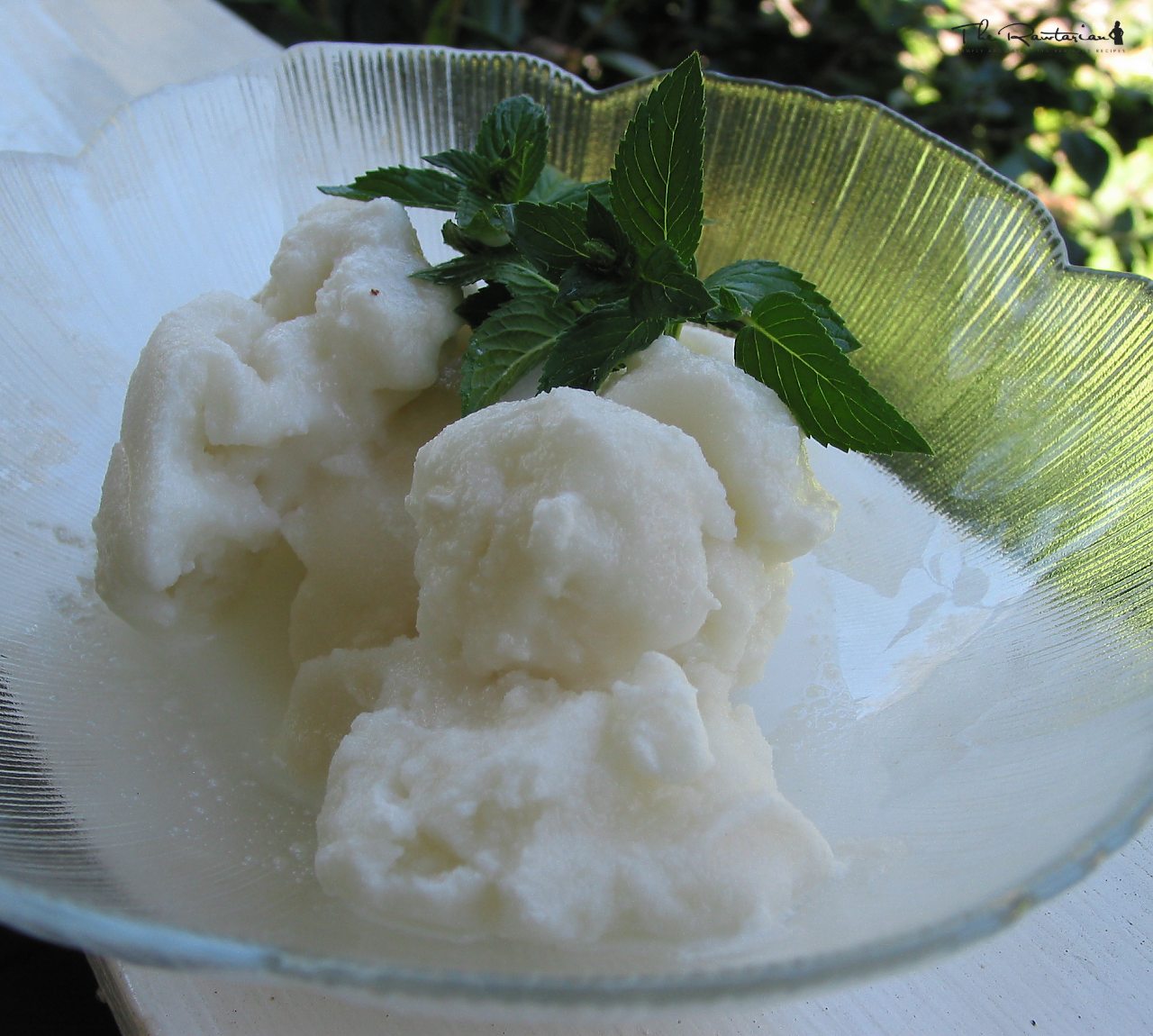 Sweet Peppermint Ice Cream | The Rawtarian